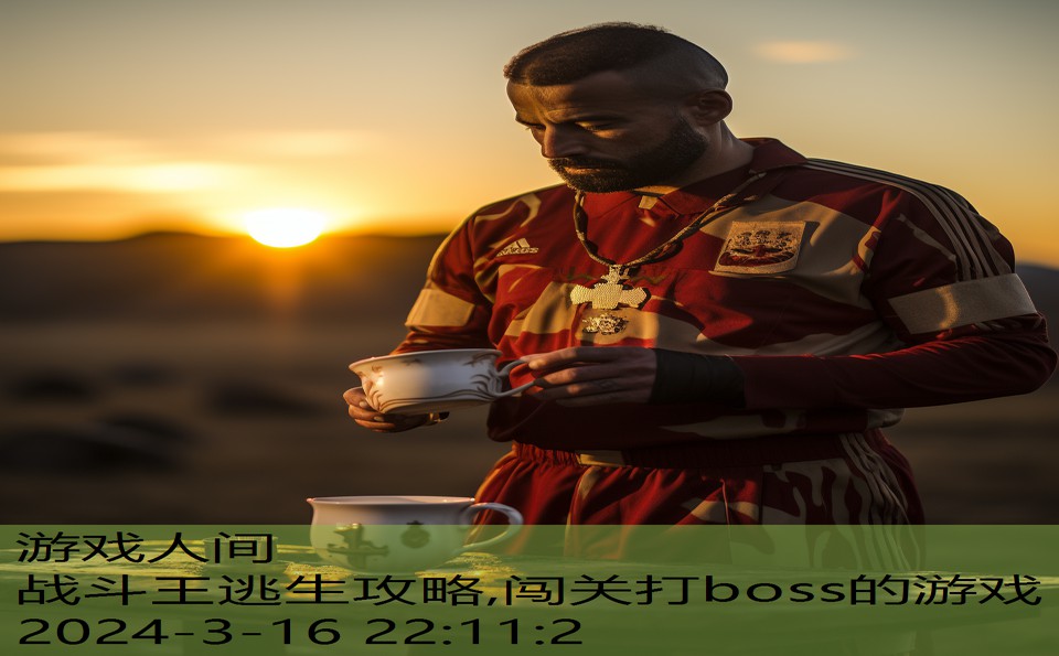 战斗王逃生攻略,闯关打boss的游戏