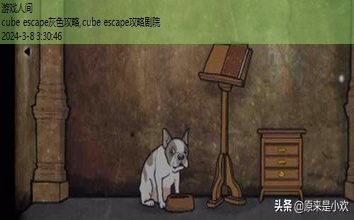 cube系列游戏攻略