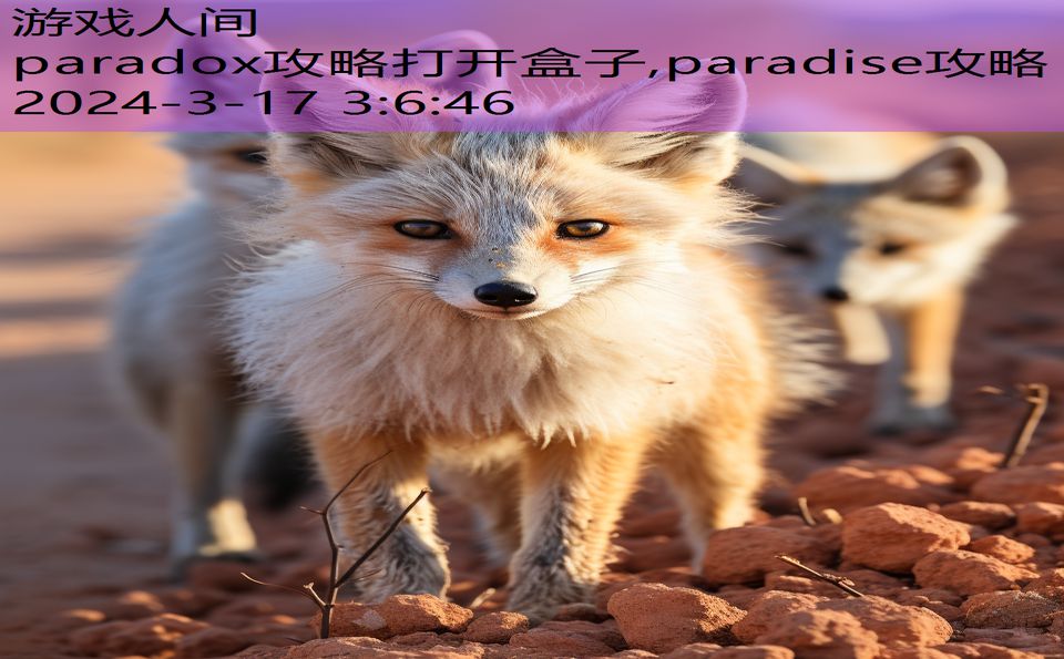 paradox攻略打开盒子,paradise攻略