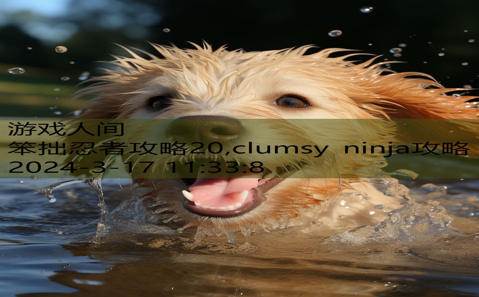 笨拙忍者攻略20,clumsy ninja攻略