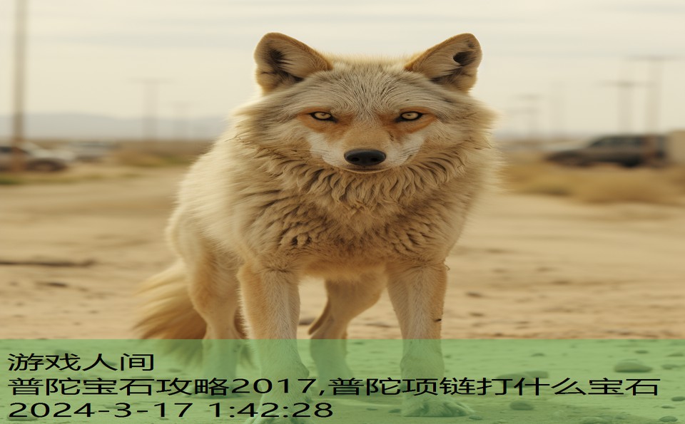 普陀宝石攻略2017,普陀项链打什么宝石