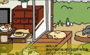 猫咪后院攻略稀有猫