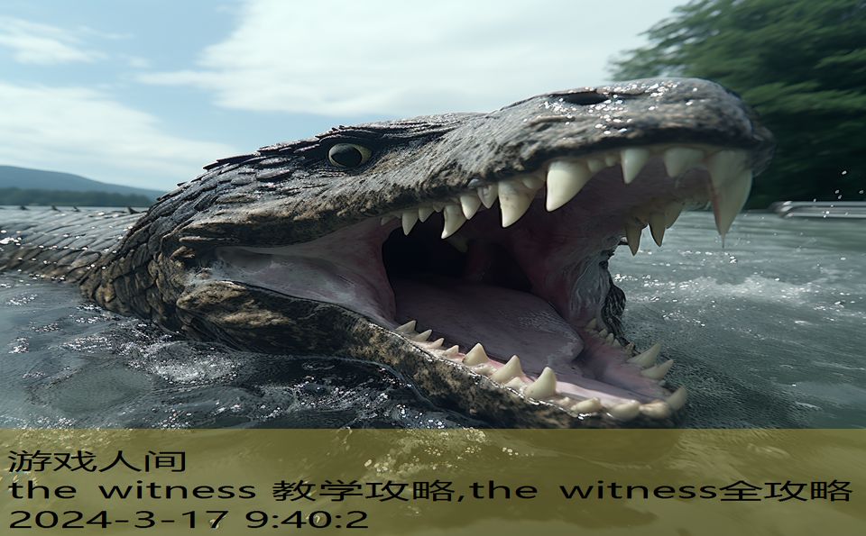 the witness 教学攻略,the witness全攻略