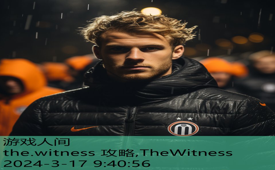 the.witness 攻略,TheWitness