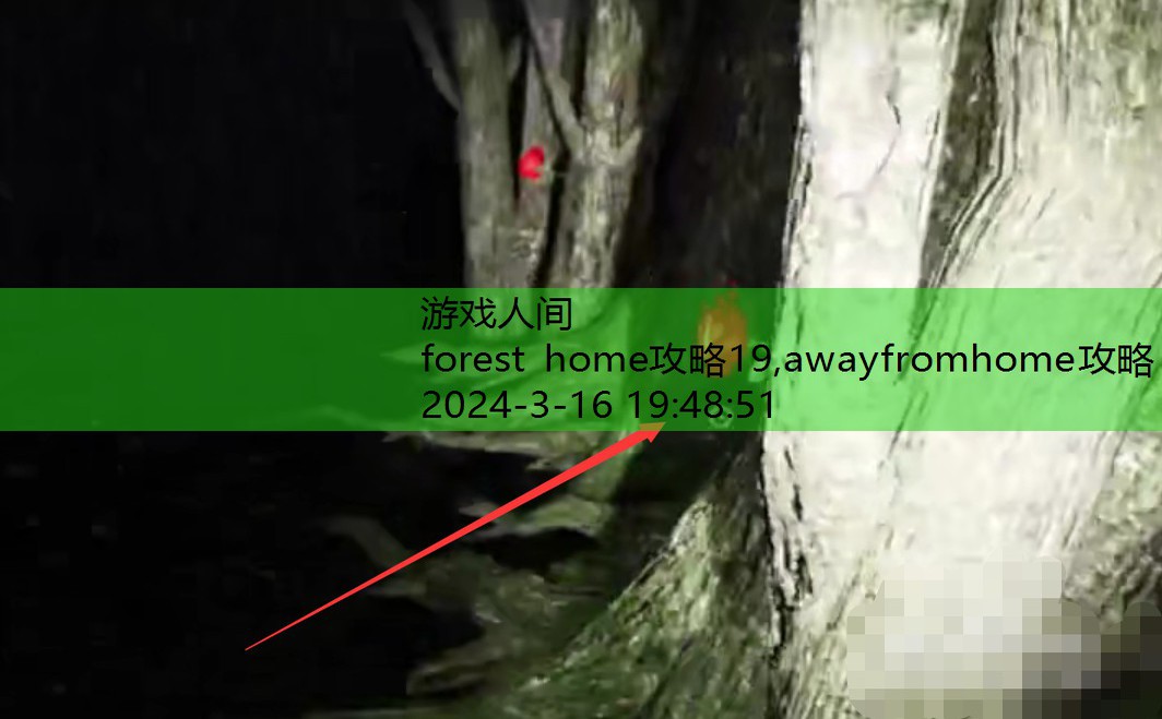 forest游戏攻略