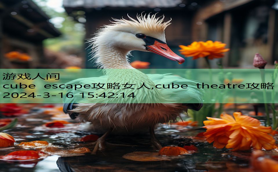 cube escape攻略女人,cube theatre攻略