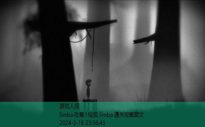 limbo攻略1视频