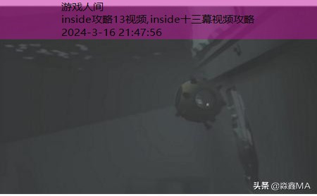 inside水里攻略