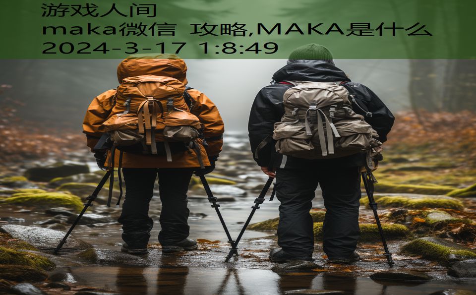 maka微信 攻略,MAKA是什么