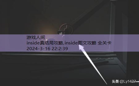 inside图文攻略 全关卡