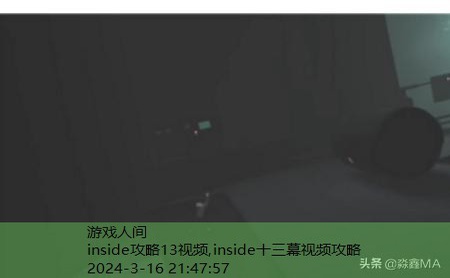 inside水里攻略