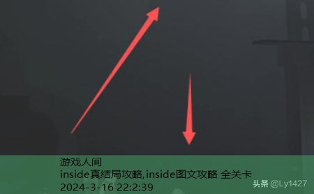 inside图文攻略 全关卡