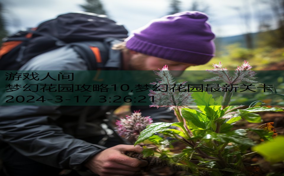 梦幻花园攻略10,梦幻花园最新关卡