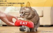 猫咪拉人气攻略,猫咪大战争攻略-游戏人间