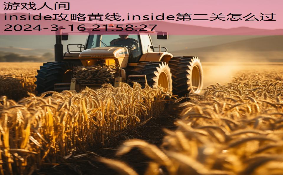 inside攻略黄线,inside第二关怎么过