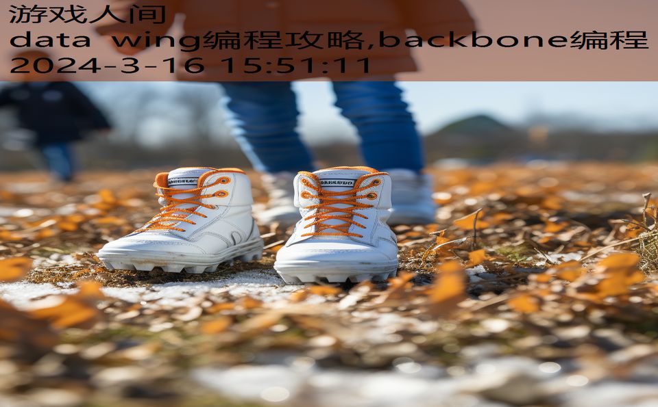 data wing编程攻略,backbone编程