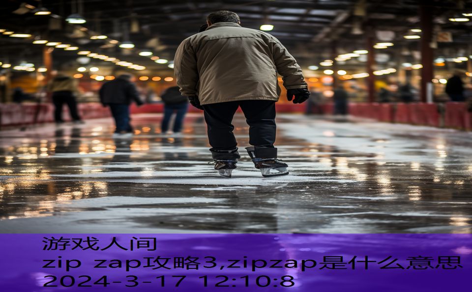 zip zap攻略3,zipzap是什么意思