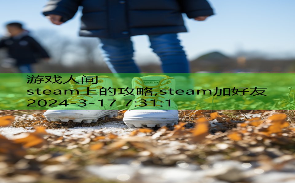 steam上的攻略,steam加好友