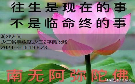 少三新手攻略