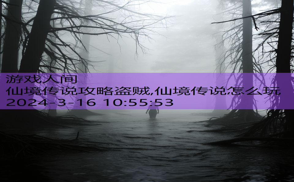 仙境传说攻略盗贼,仙境传说怎么玩