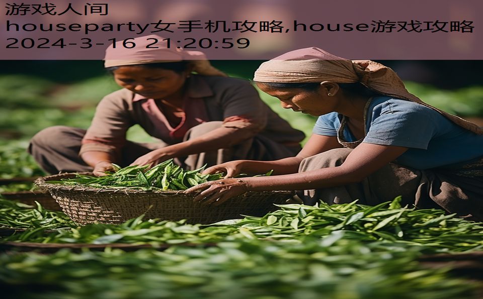 houseparty女手机攻略,house游戏攻略