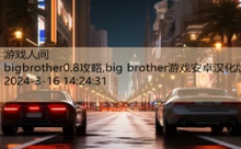 bigbrother0.8攻略,big brother游戏安卓汉化版-游戏人间