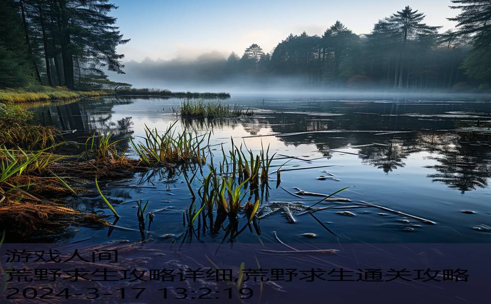 荒野求生攻略详细,荒野求生通关攻略