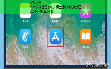 如何查看ipad文件管理