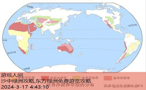 没有绿洲的沙漠