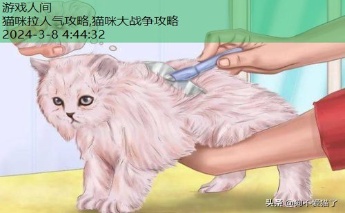 猫咪拉软便但精神还好