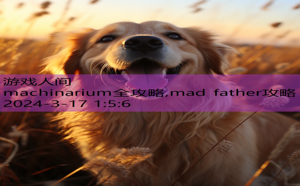 machinarium全攻略,mad father攻略