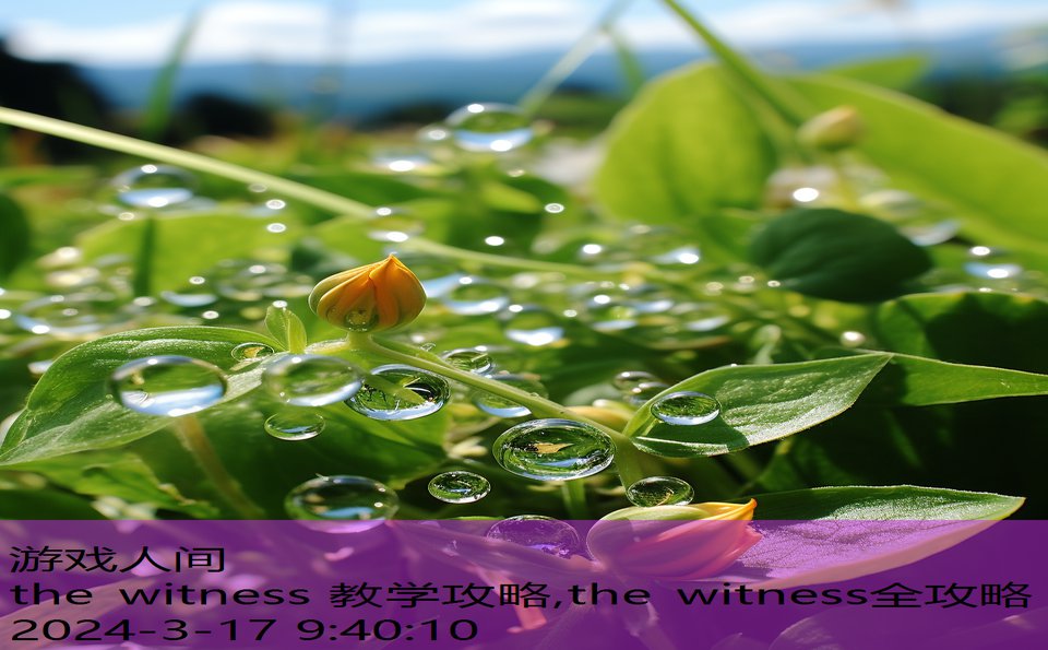 the witness 教学攻略,the witness全攻略