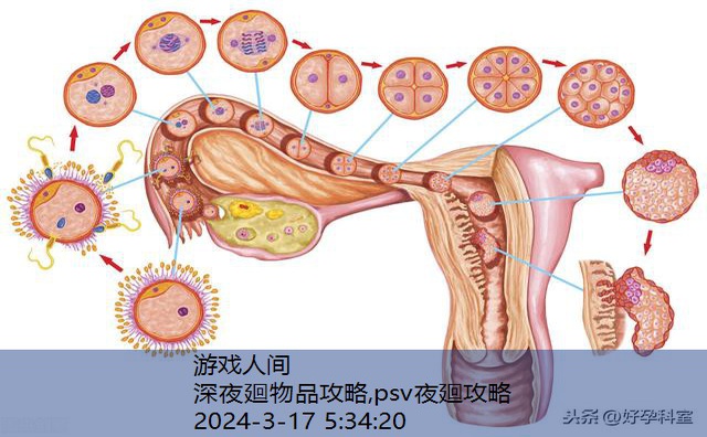 深夜廻通关后怎么去工厂