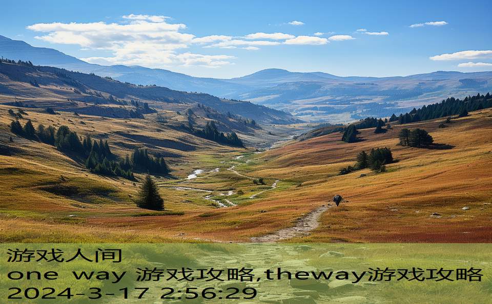 one way 游戏攻略,theway游戏攻略