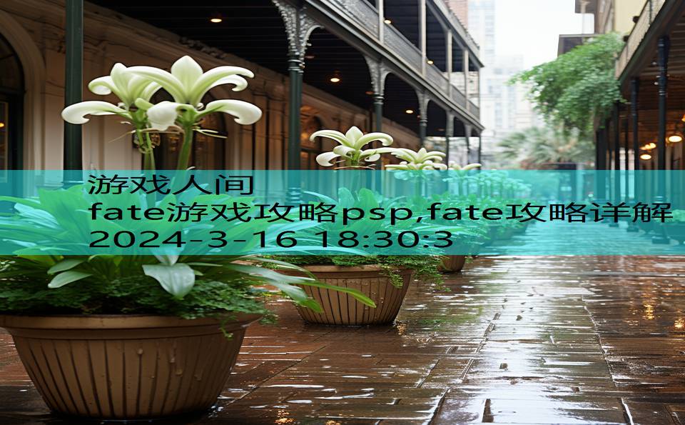 fate游戏攻略psp,fate攻略详解