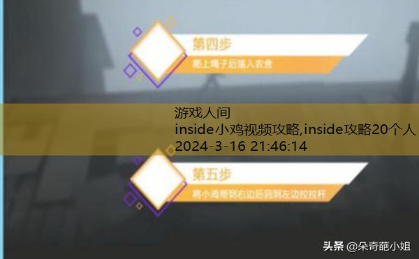 inside小鸡视频攻略