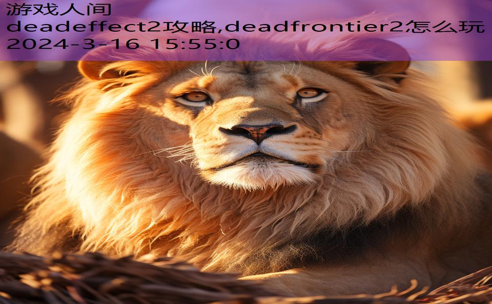 deadeffect2攻略,deadfrontier2怎么玩