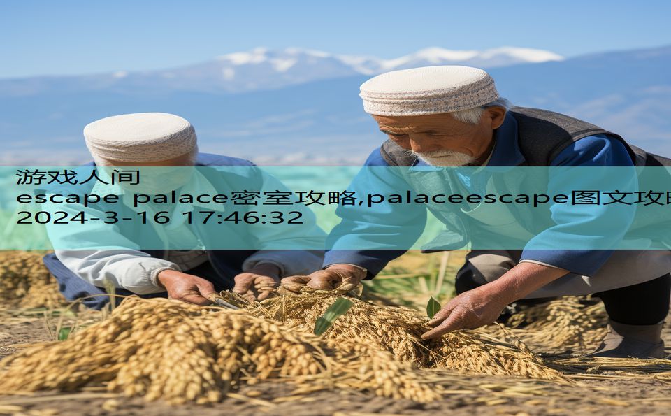 escape palace密室攻略,palaceescape图文攻略