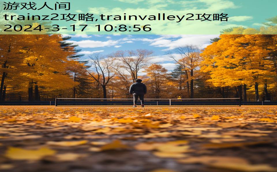 trainz2攻略,trainvalley2攻略