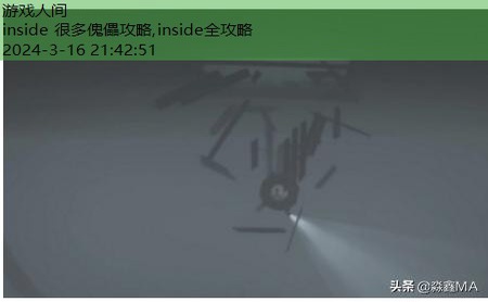 inside水里攻略