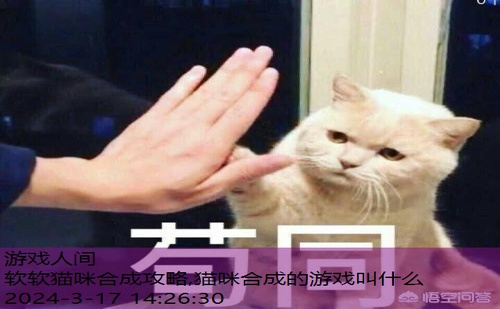 萌猫养成罐2汉化版下载