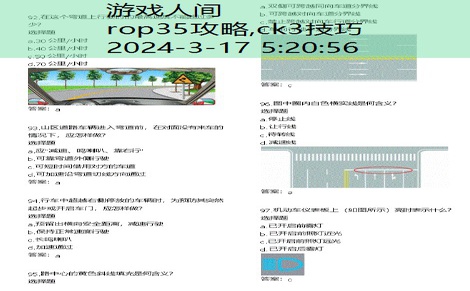 rop游戏第一章第29关