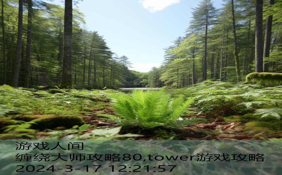 缠绕大师攻略80,tower游戏攻略