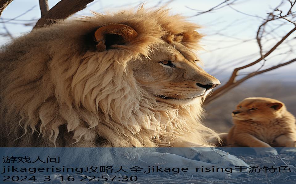 jikagerising攻略大全,jikage rising手游特色