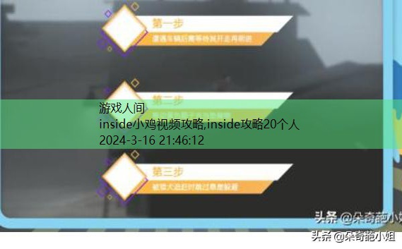 inside小鸡视频攻略