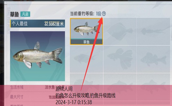 钓鱼怎么升级攻略