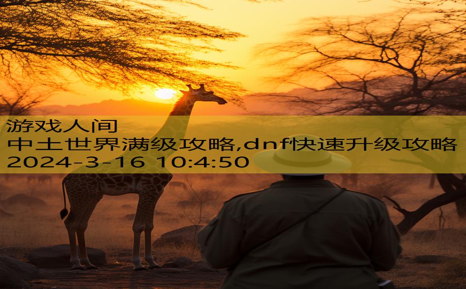 中土世界满级攻略,dnf快速升级攻略