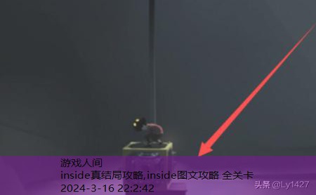 inside图文攻略 全关卡