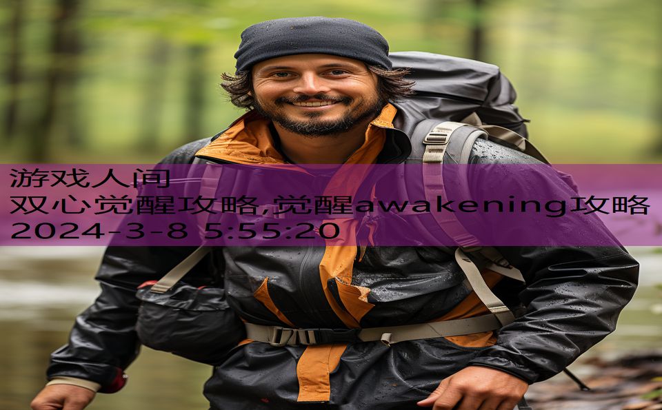 双心觉醒攻略,觉醒awakening攻略