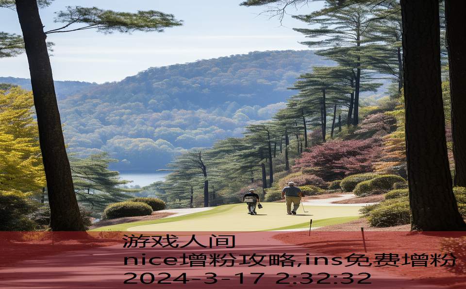 nice增粉攻略,ins免费增粉